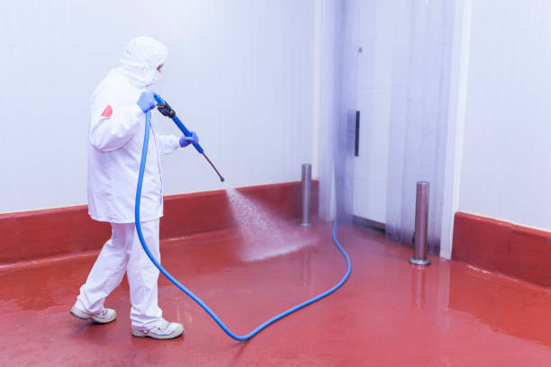 Best Sidewalk and Walkway Cleaning  in Carbonville, UT